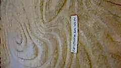 Ковер замысловатого дизайна почищен вручную специальным оборудованием