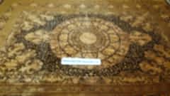 Выведены с ковра пятна и запах мочи собаки